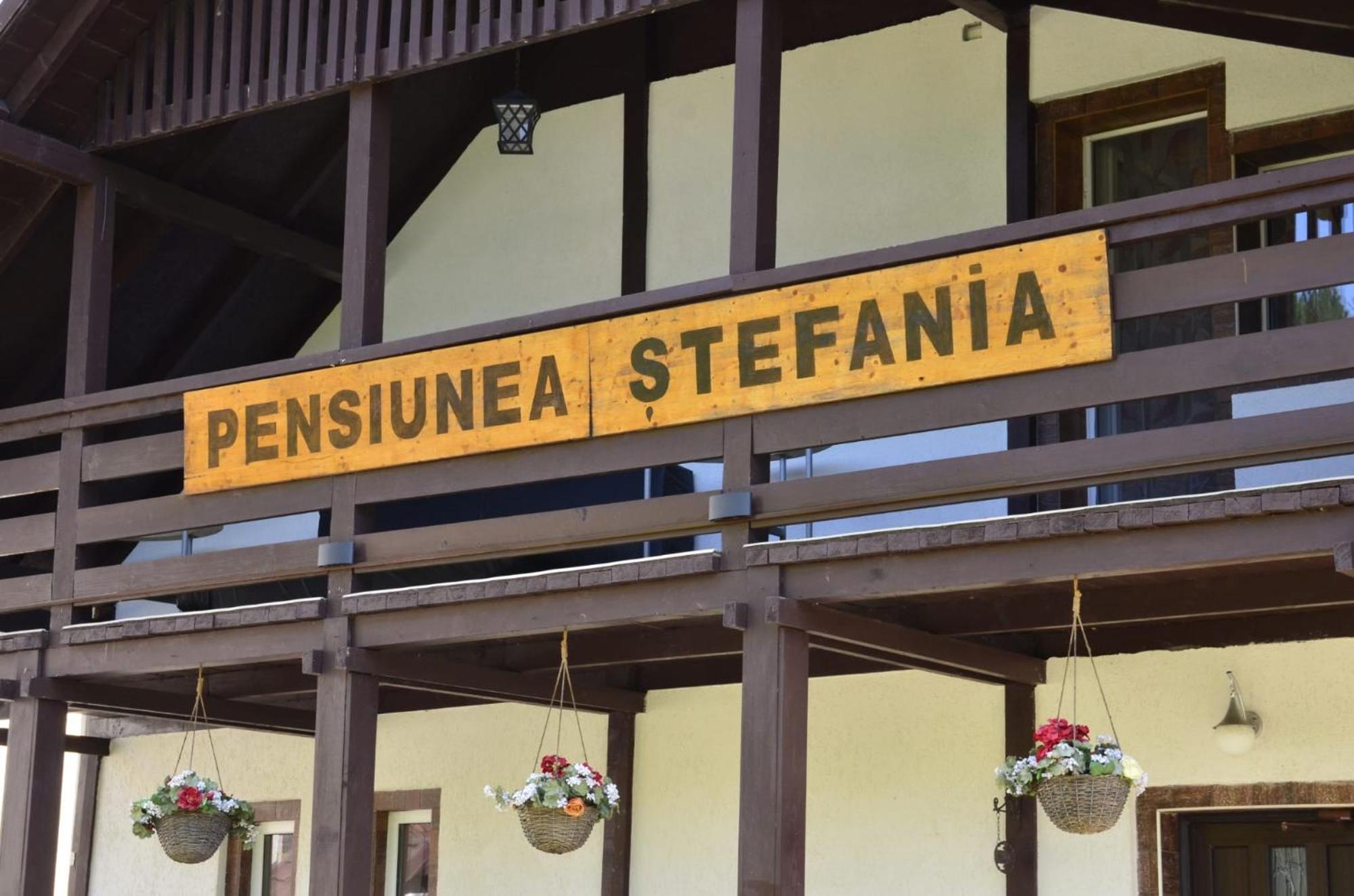 Pensiune Stefania フネドアラ エクステリア 写真